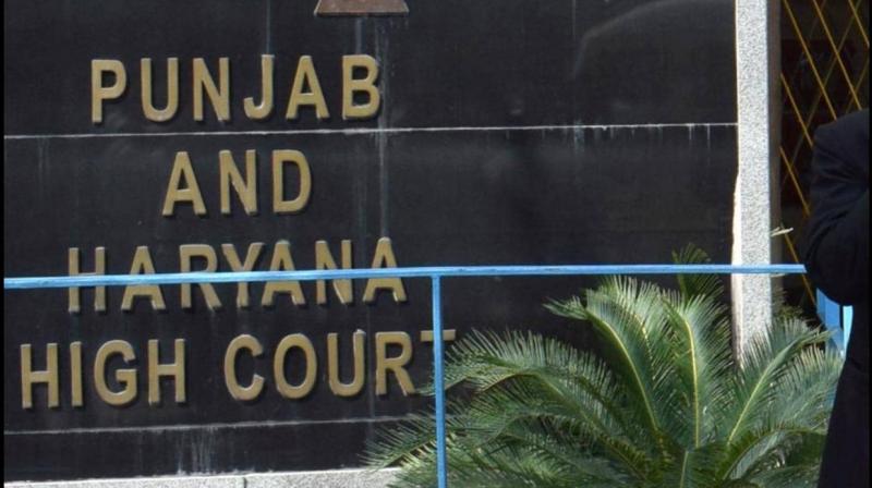 punjab and haryana high court punjab and haryana high court