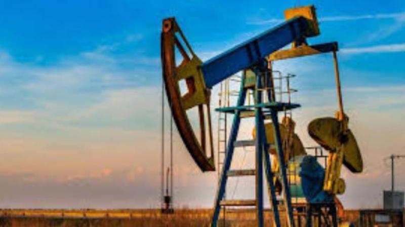 Massive oil gas reserves found in Pakistani Massive oil gas reserves found in Pakistani