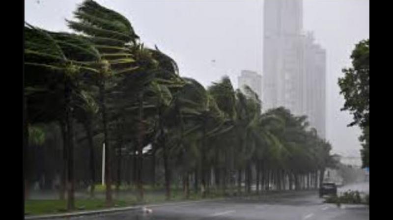Typhoon Yaagi in China Typhoon Yaagi in China
