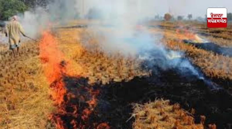 stubble burning stubble burning