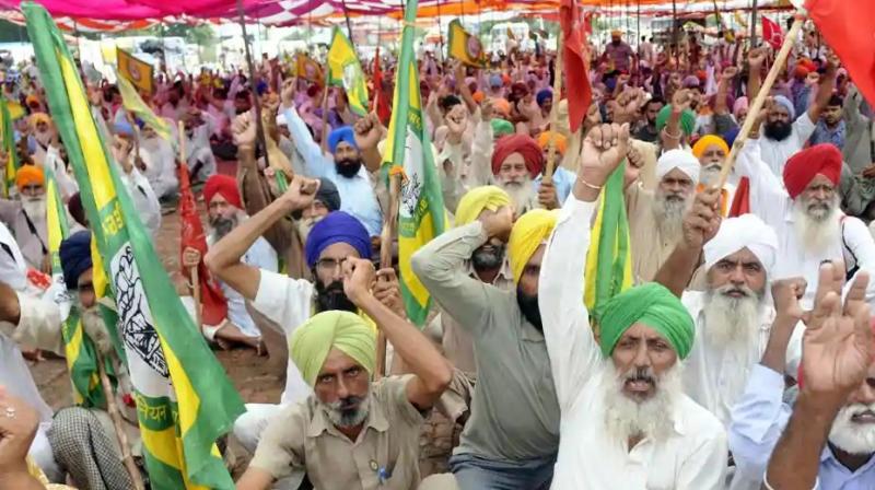 Farmer Protest Farmer Protest