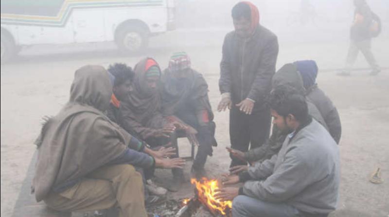 Extreme Cold Hits Many Places In Punjab and Haryana