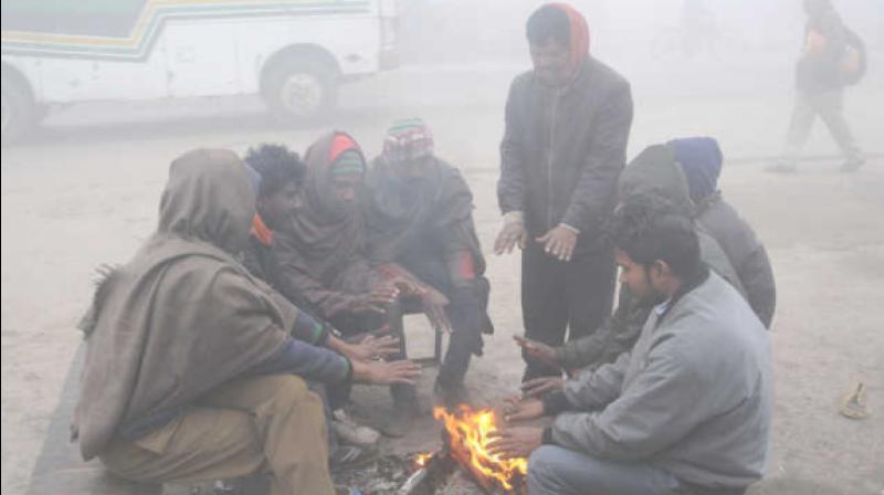 Extreme Cold Hits Many Places In Punjab and Haryana Extreme Cold Hits Many Places In Punjab and Haryana
