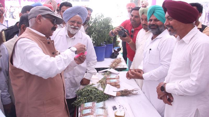V.P Badnaur V.P Badnaur