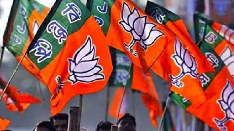 BJP BJP
