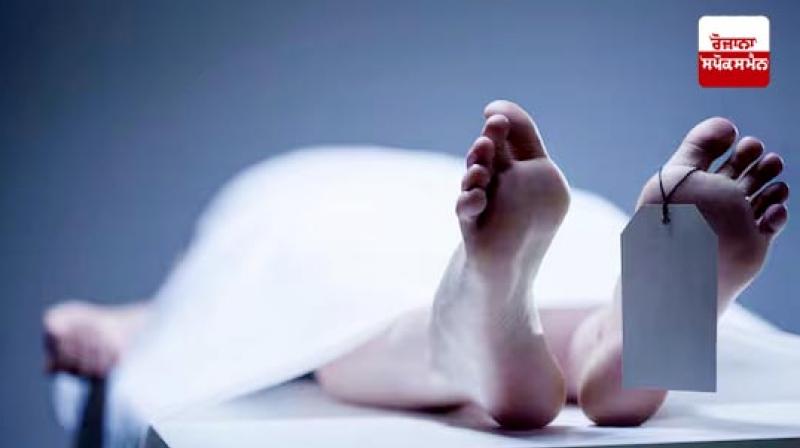 Elderly woman dies after being hit by bus in Bathinda Elderly woman dies after being hit by bus in Bathinda
