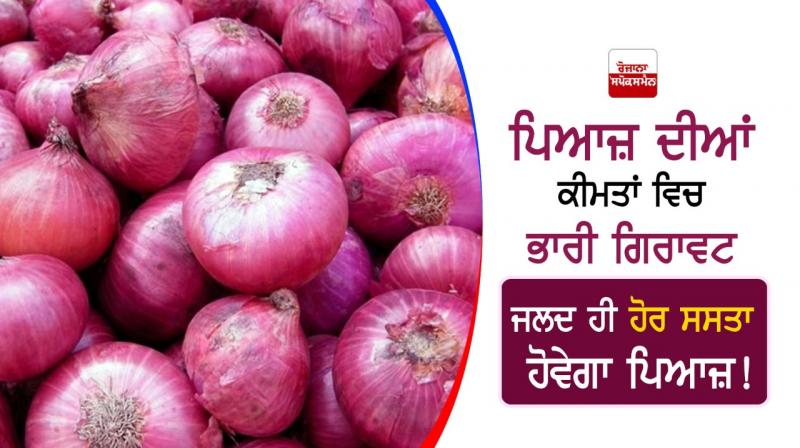 Onion rates Onion rates