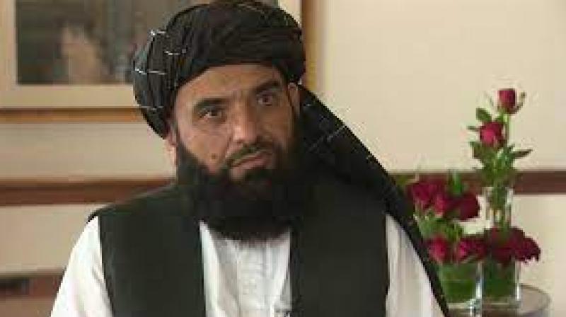 We have right to raise our voice for Muslims in Kashmir, say Taliban We have right to raise our voice for Muslims in Kashmir, say Taliban