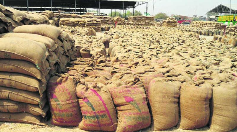 Wheat Bags Wheat Bags