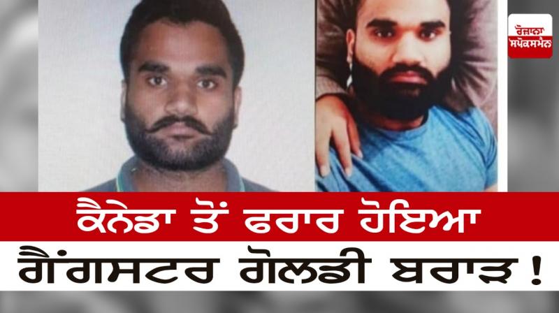 Gangster gangster Goldie Brar escaped from Canada! Gangster gangster Goldie Brar escaped from Canada!