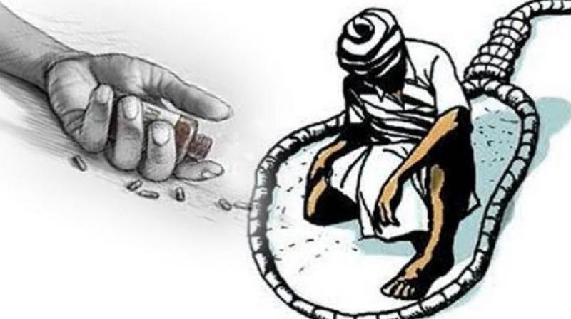 Farmer Suicide Farmer Suicide