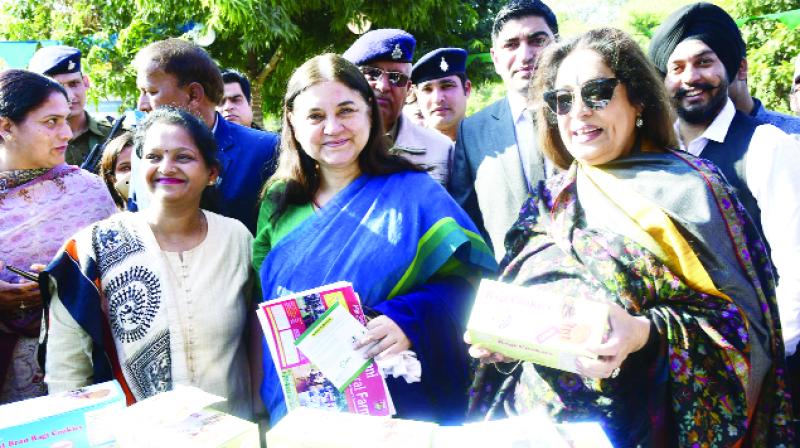  Cabinet Minister Ms Maneka Gandhi Who Visited The Organic Fair