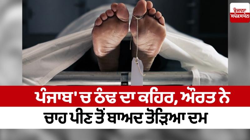 A woman died due to cold in faridkot news in punjabi A woman died due to cold in faridkot news in punjabi