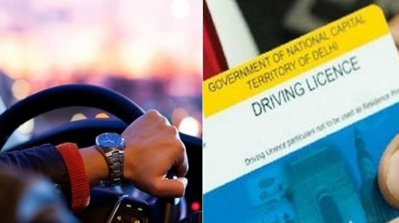 driving license driving license