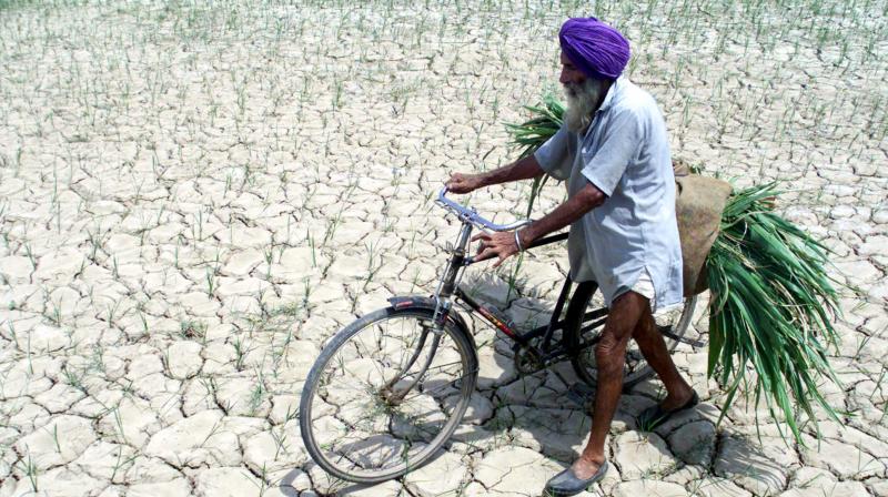 Kissan Kissan