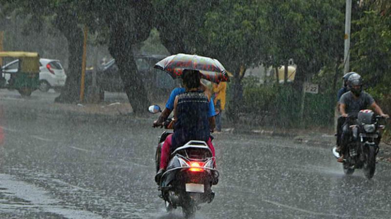 Rain Rain