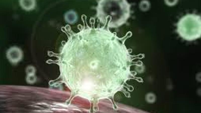Corona virus Corona virus
