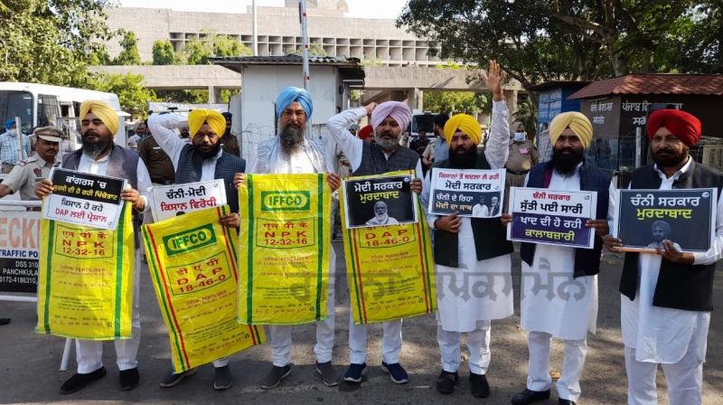 AAP MLAs protest on DAP fertilizer issue