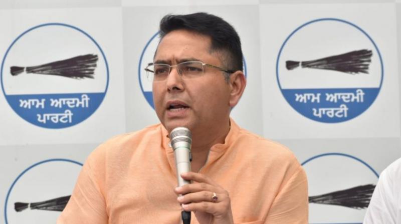 Why Sukhbir Badal is running away from questions of people, farmers and AAP: Aman Arora Why Sukhbir Badal is running away from questions of people, farmers and AAP: Aman Arora