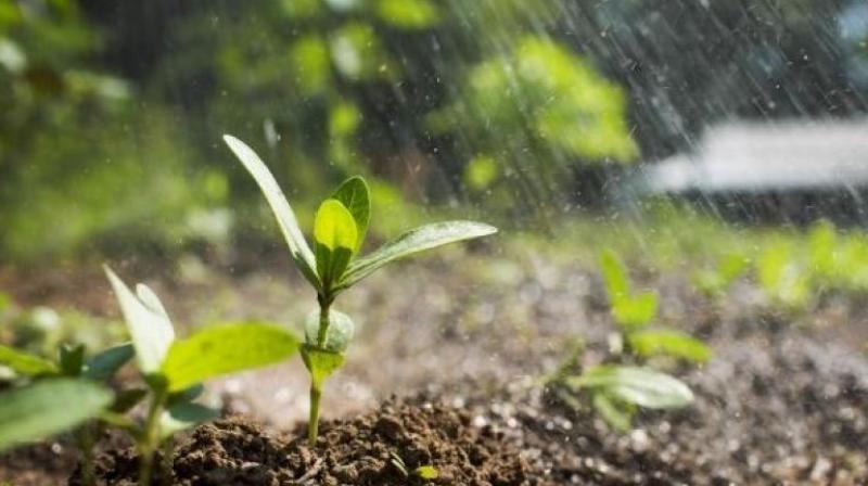 Ways to increase soil fertility Ways to increase soil fertility