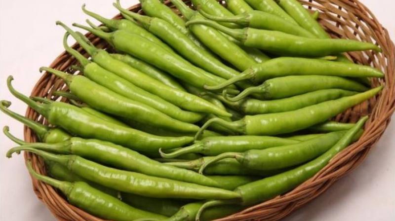 Green Chilly Green Chilly