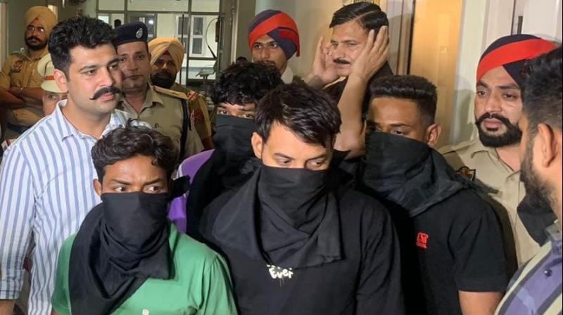 8 members of the Prince Rana group arrested 8 members of the Prince Rana group arrested
