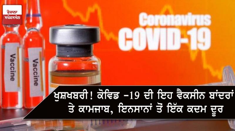 coronavirus vaccine coronavirus vaccine