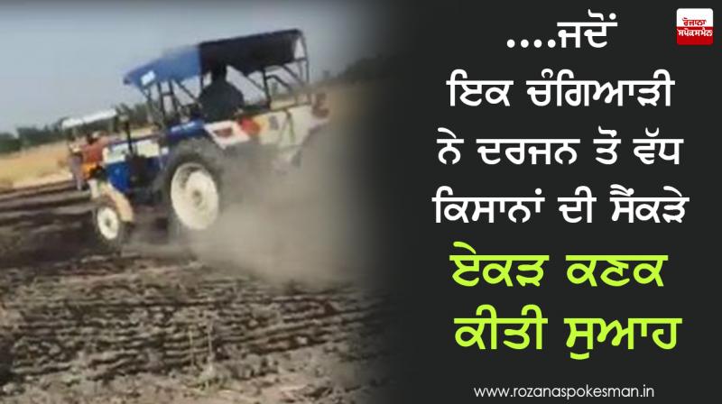Wheat in farm burnt in in Ferozepur Wheat in farm burnt in in Ferozepur