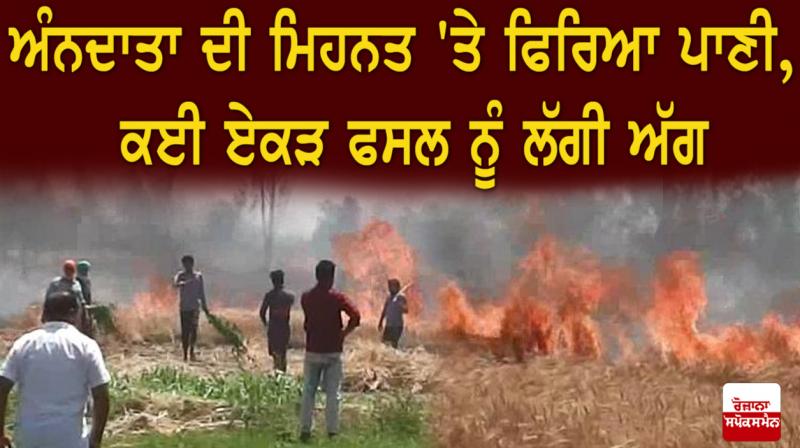 Fires destroy crop in Dinanagar Fires destroy crop in Dinanagar