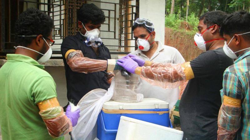 Kerala Nurse Died After Treating Nipah Patient, Kerala Nurse Died After Treating Nipah Patient,