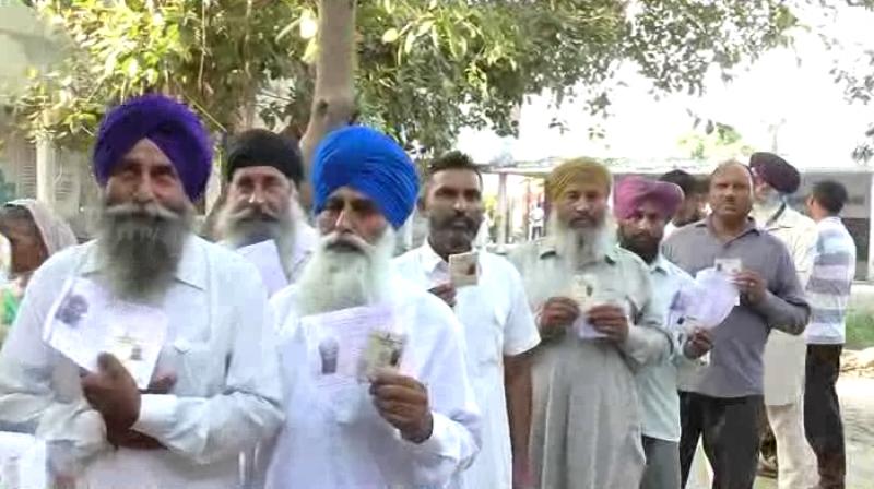 shahkot bypoll shahkot bypoll