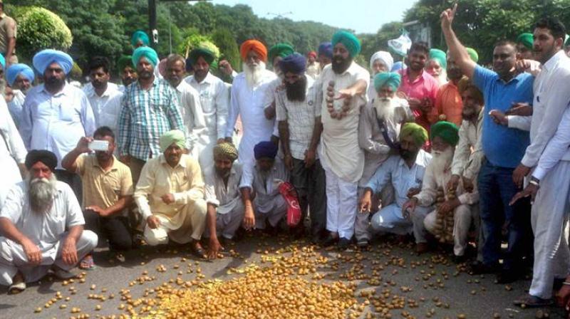 farmer protest farmer protest