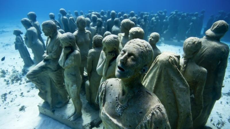 wonders of the underwater world wonders of the underwater world