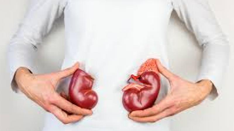 villagers are facing kidney related problems in chhattisgarh villagers are facing kidney related problems in chhattisgarh