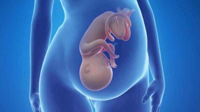 Now Embryo's 3D photo is possible to taken Now Embryo's 3D photo is possible to taken