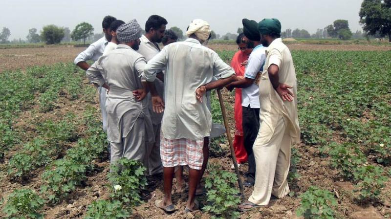 Farmers not to use unnecessary pesticides