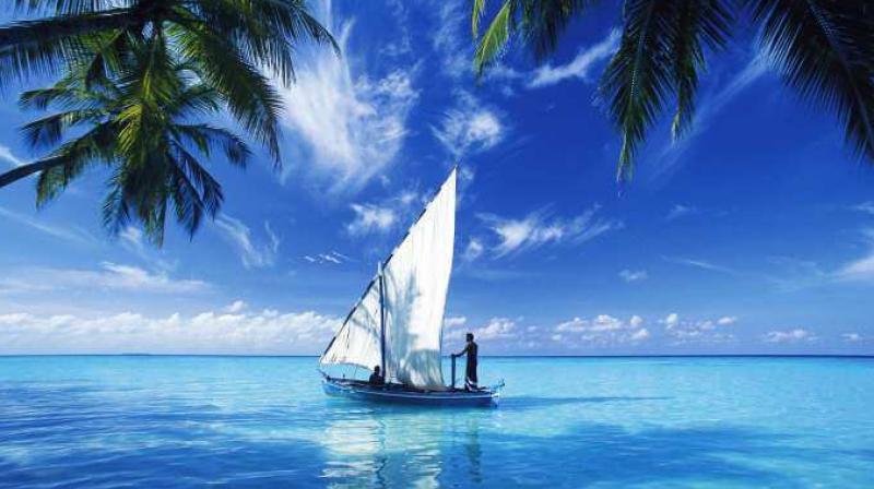 Island Island