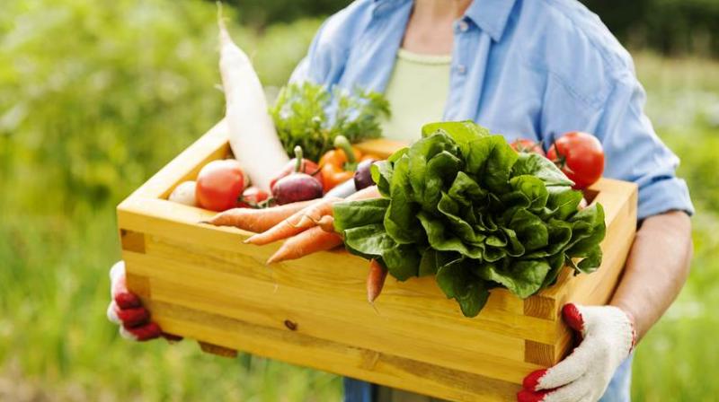organic food organic food