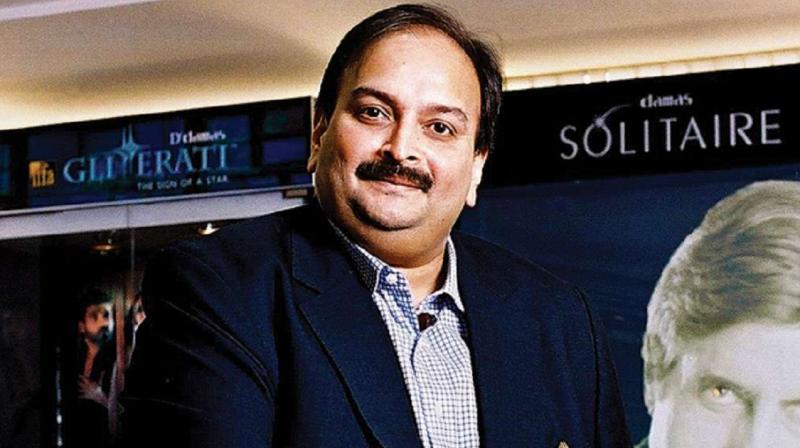 mehul choksi mehul choksi
