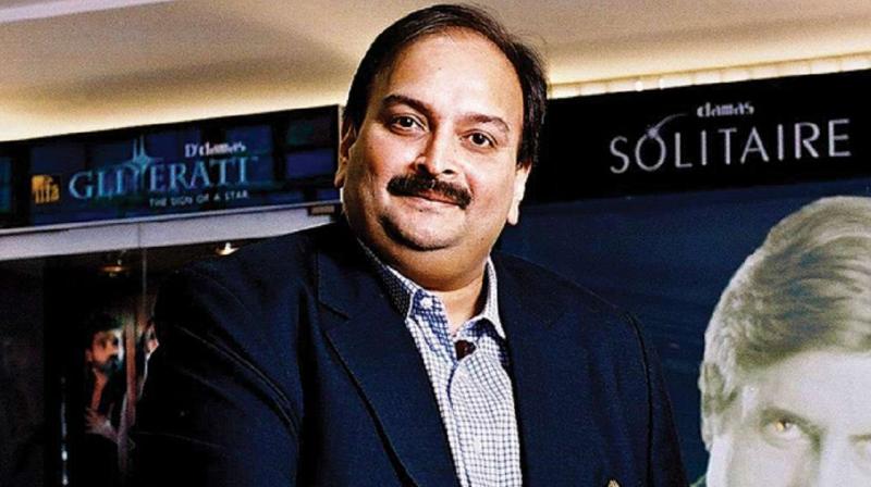 mehul choksi