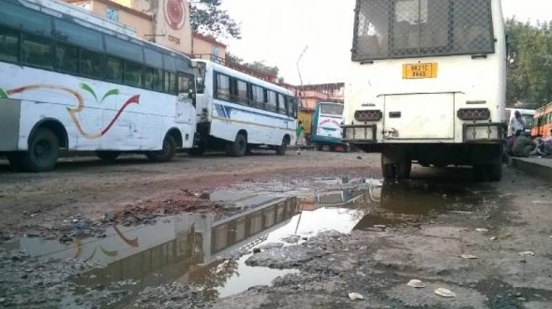 buses buses