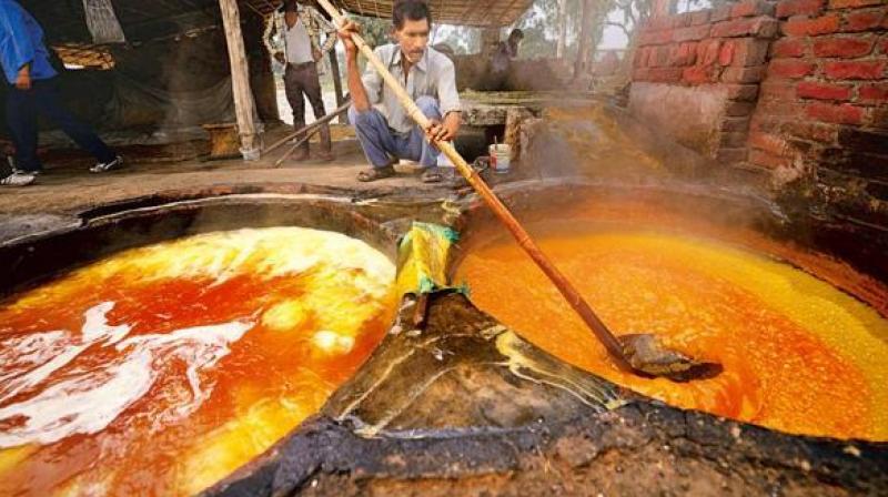 jaggery making