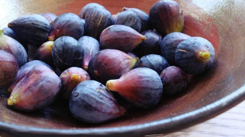 Fig Fig