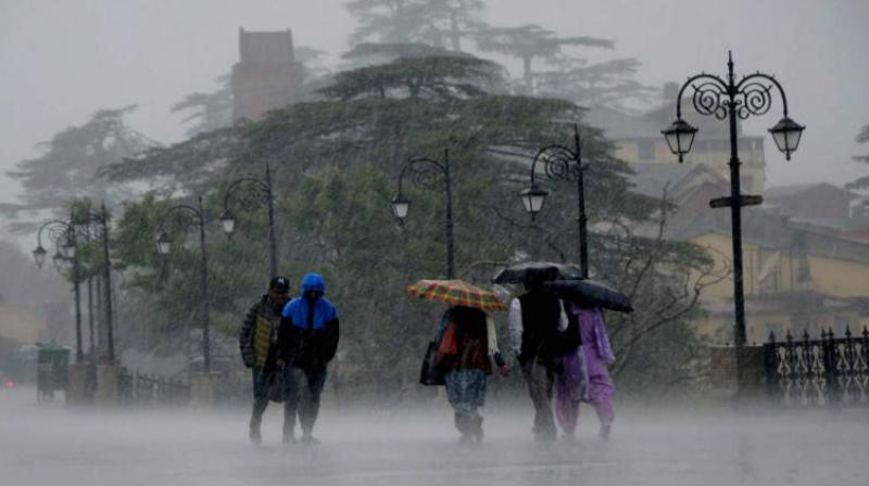 Rain Rain
