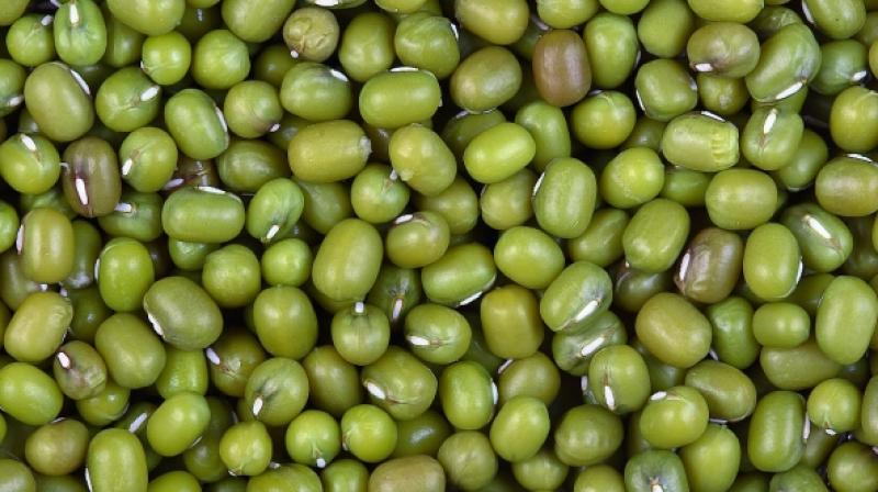 green gram green gram