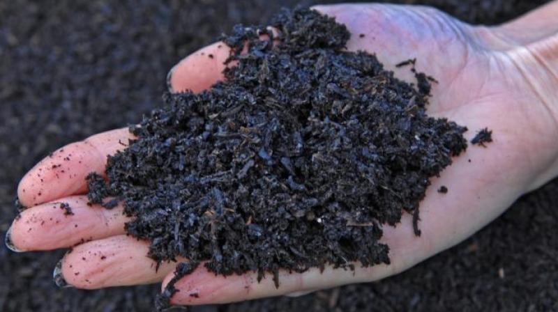biochar emerges as soil amendment for agriculture biochar emerges as soil amendment for agriculture
