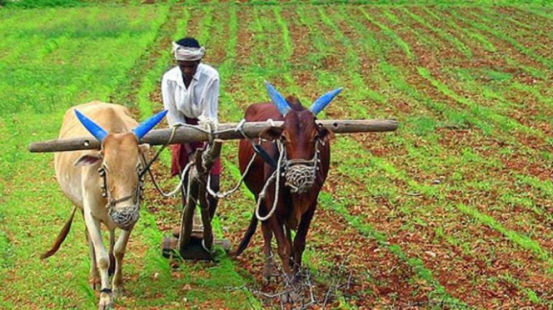 Natural farming Natural farming