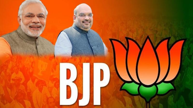 lok sabha election 2019 bjp to try t 20 formula