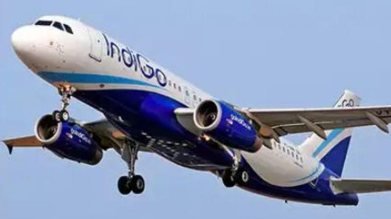 Indigo Airlines Indigo Airlines