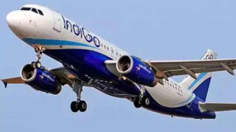 Indigo Flight 